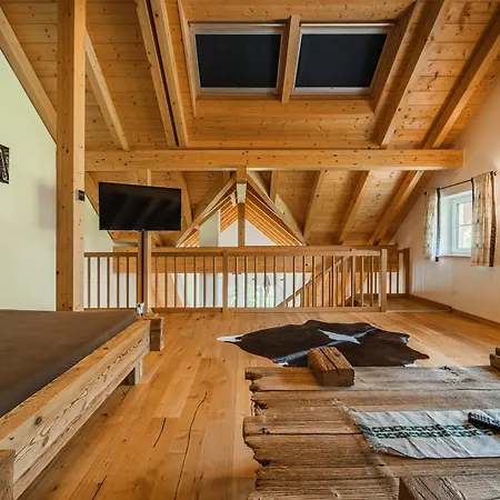 Oberweiglhof Penthouse Russbach am Pass Gschuett